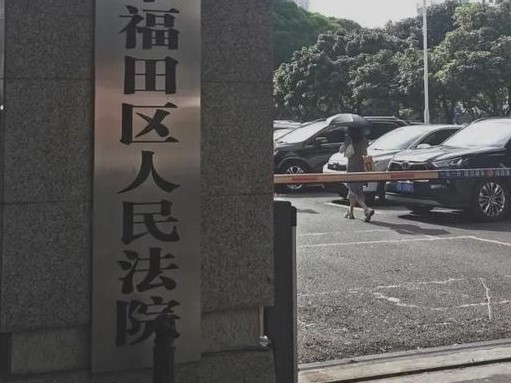 非法吸收公众存款罪典型案例评析2026_变相理财与众筹募资的刑事红线